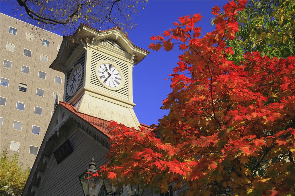 北海道夏季旅游攻略自由行,北海道自由行旅游攻略大全