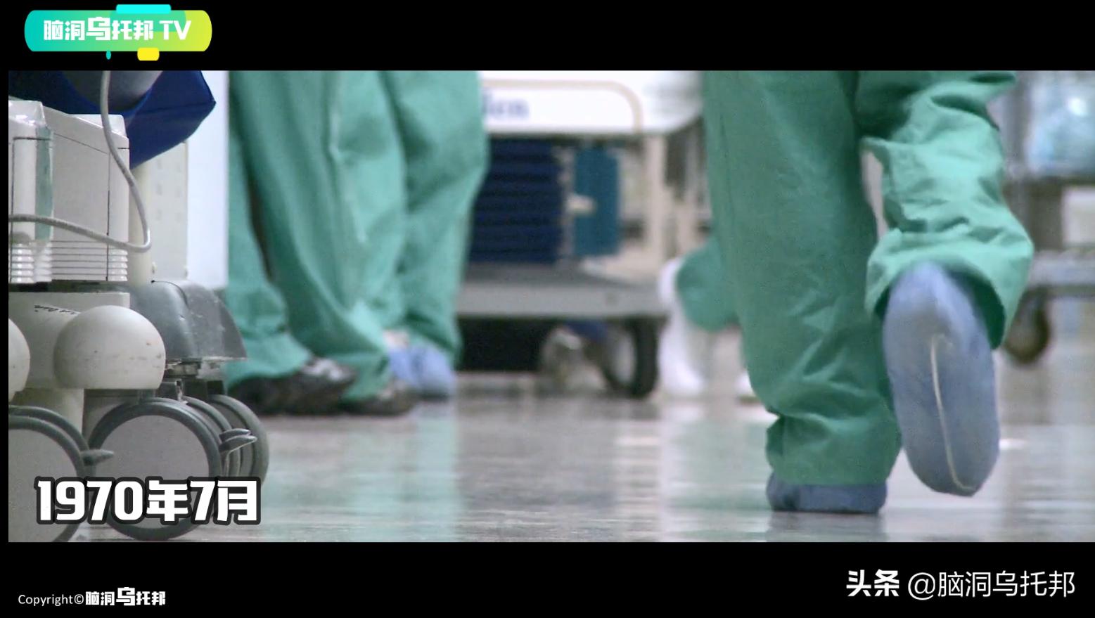 万只猫集体跳海，一场只有死亡才能终结的诅咒！日本诡异事件真相