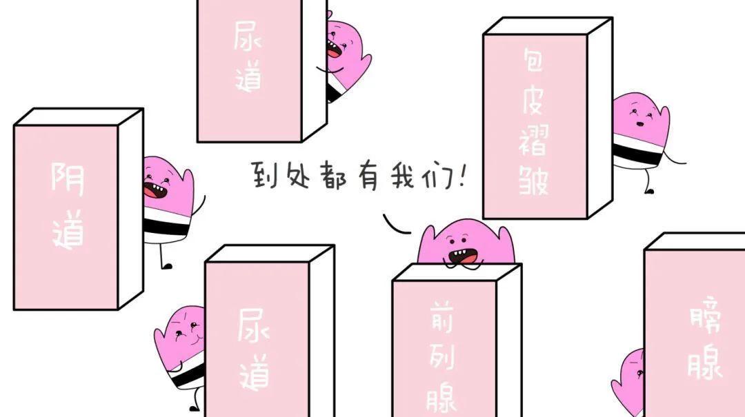 白带异常外阴瘙痒腰骶疼痛,白带多外阴瘙痒肿疼怎么回事