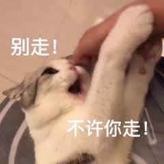 word删不掉空白页的根本原因,word空白页删不掉怎么这么反人类