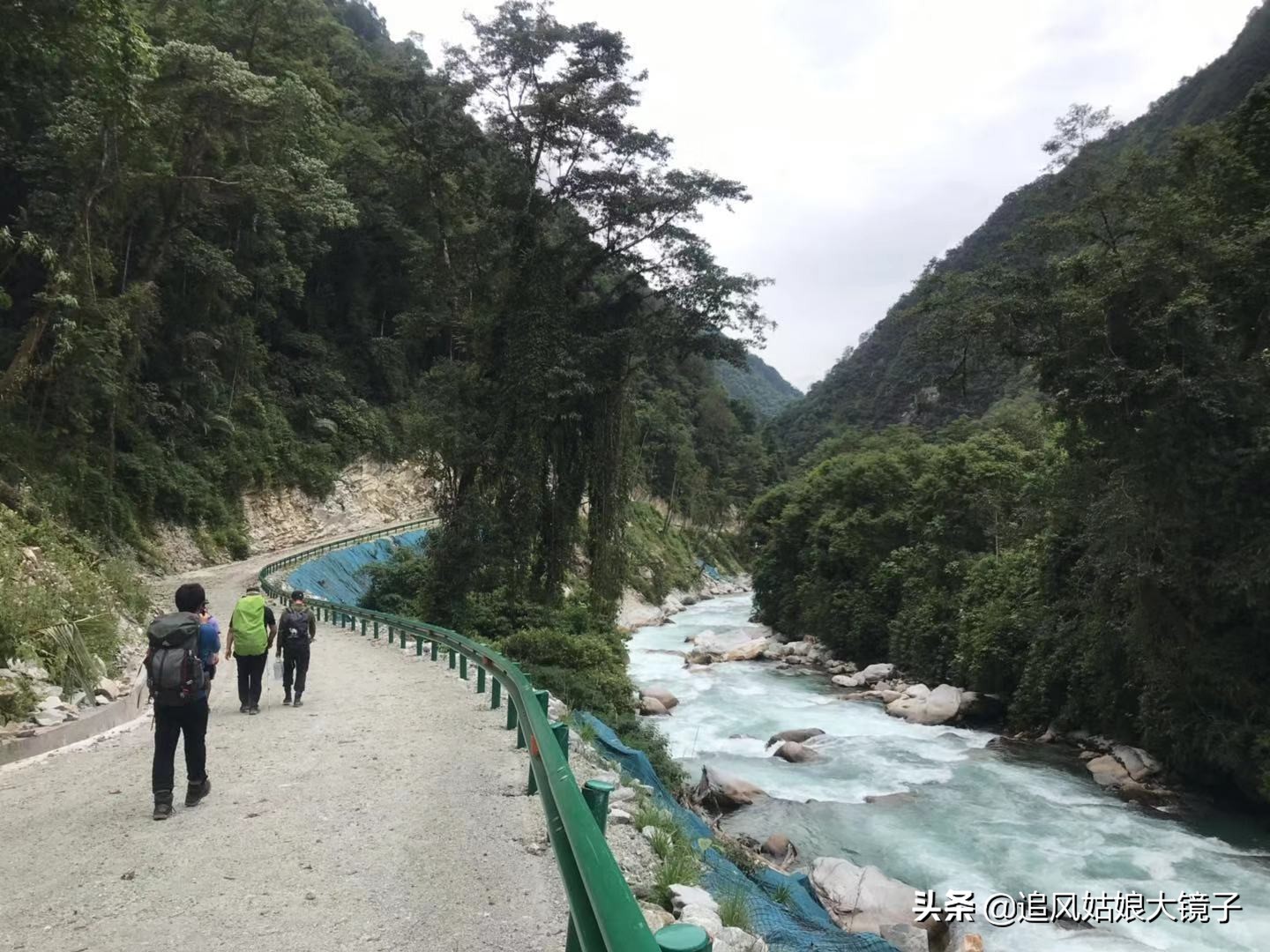 穿越原始的森林,穿越原始森林巨大蜈蚣