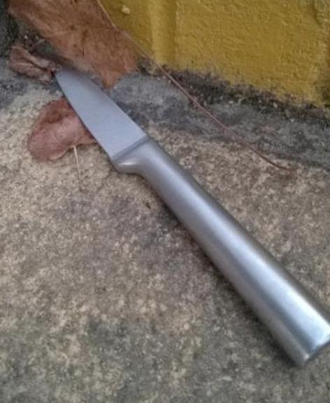 加拿大少女与男友约会时因男友想摸胸,一怒之下将其捅死