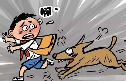 流浪狗咬了人怎么办,民法典规定被狗咬了一般赔多少钱