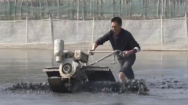 霞浦岐山村做跳跳鱼,霞浦滩涂捕捉跳跳鱼