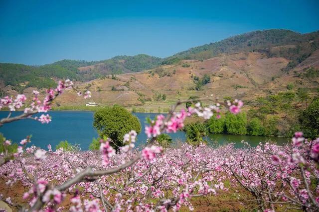 pe与股价每股收益的关系,pe市场分析