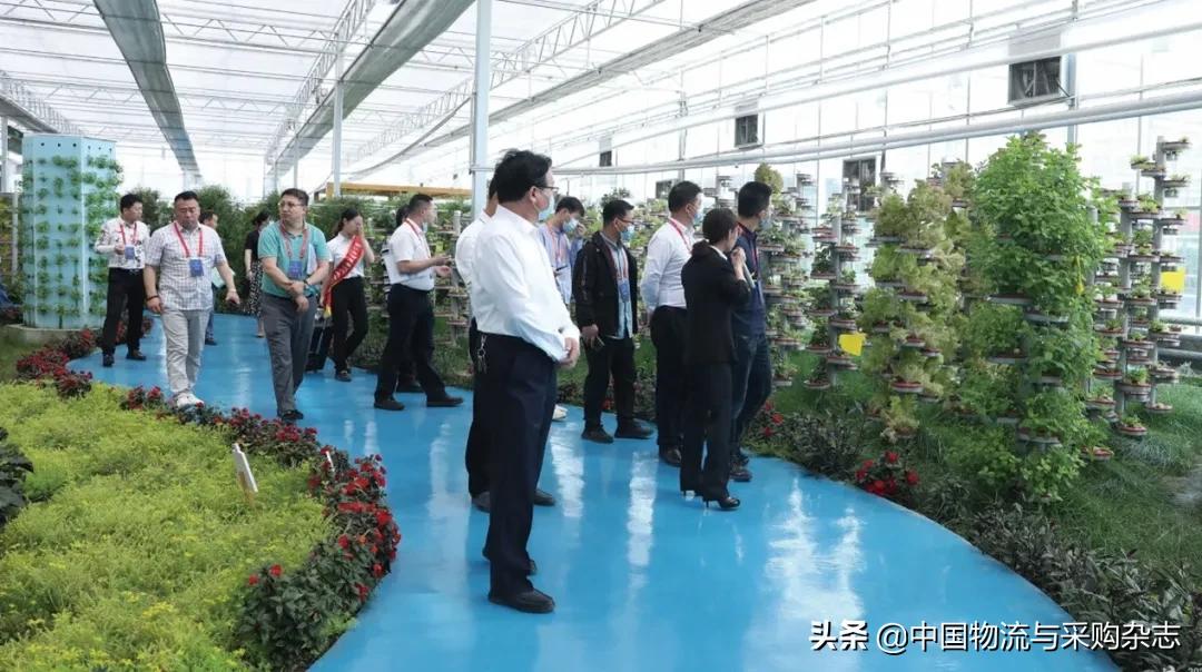 山西曲沃公布多个物流项目，投资总额超百亿元