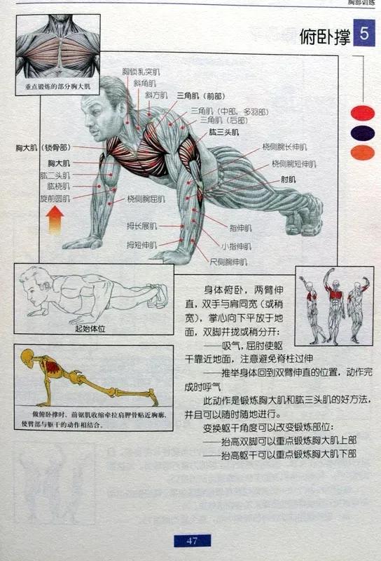 男士健身燃脂操30分钟完整版,健身房健身计划一周表男士增肌