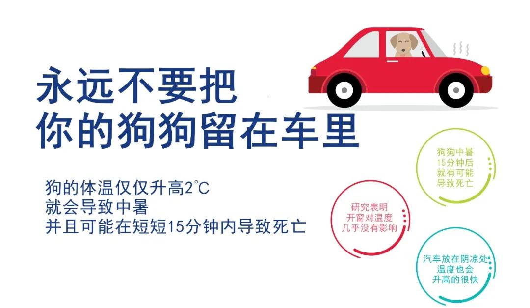 好好的狗怎么会得狂犬病,狗子中暑了