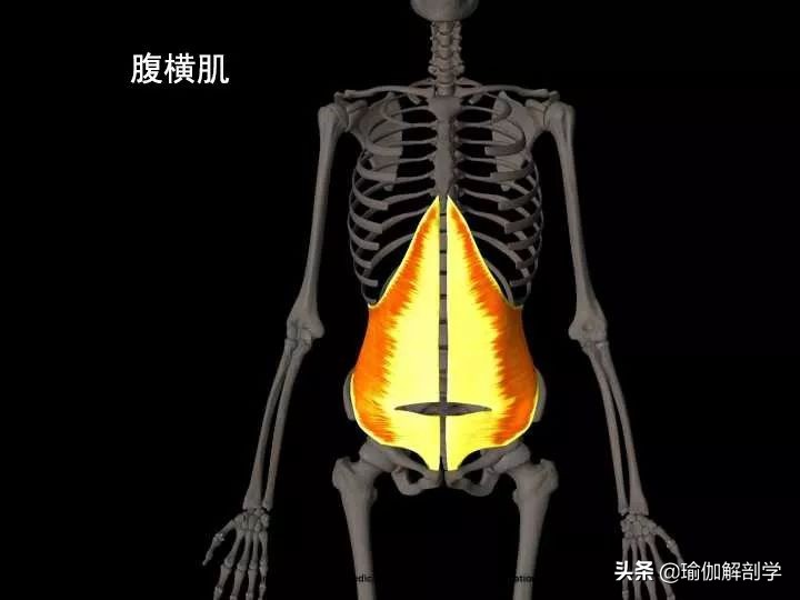 简单的瘦腰瑜伽动作视频教程,躺着双脚合并内扣的瑜伽动作