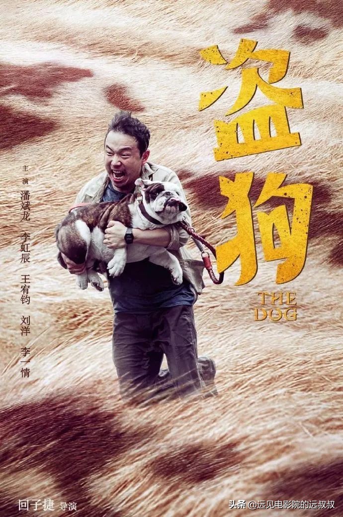 影院复工票房稳步上升,《1917》等大片定档,本周影视圈资讯汇总