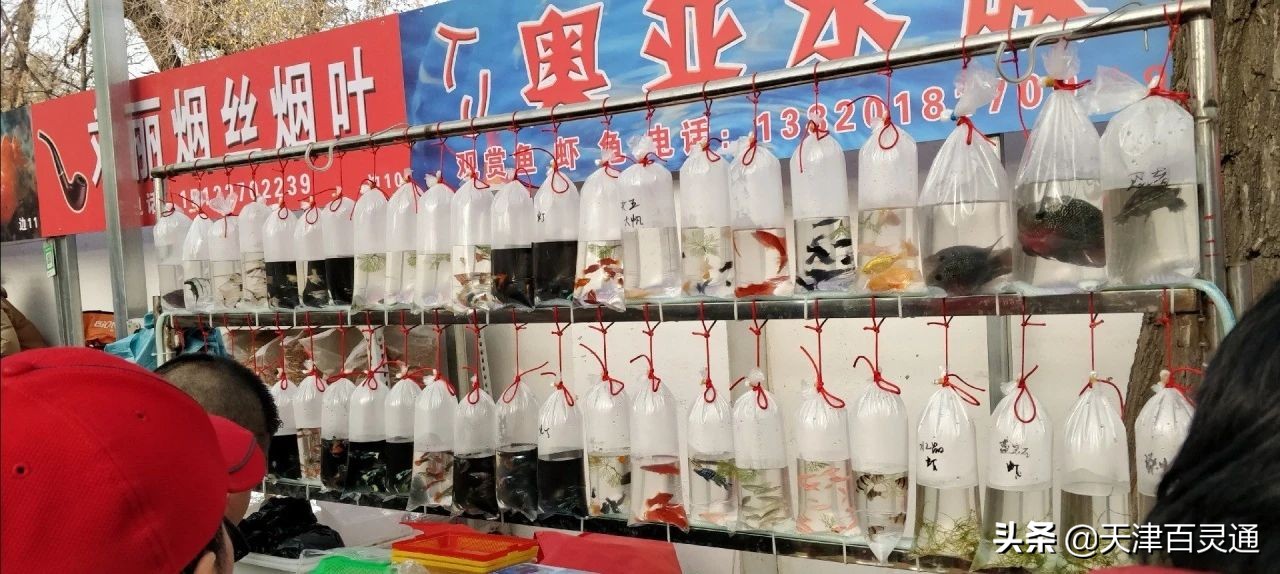 天津的早市儿有哪些,津沽最好的早市