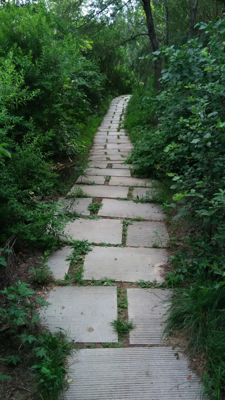 用好“小管家”,向龟速启动说不,让你的CAD飞起来|AutoCAD加速