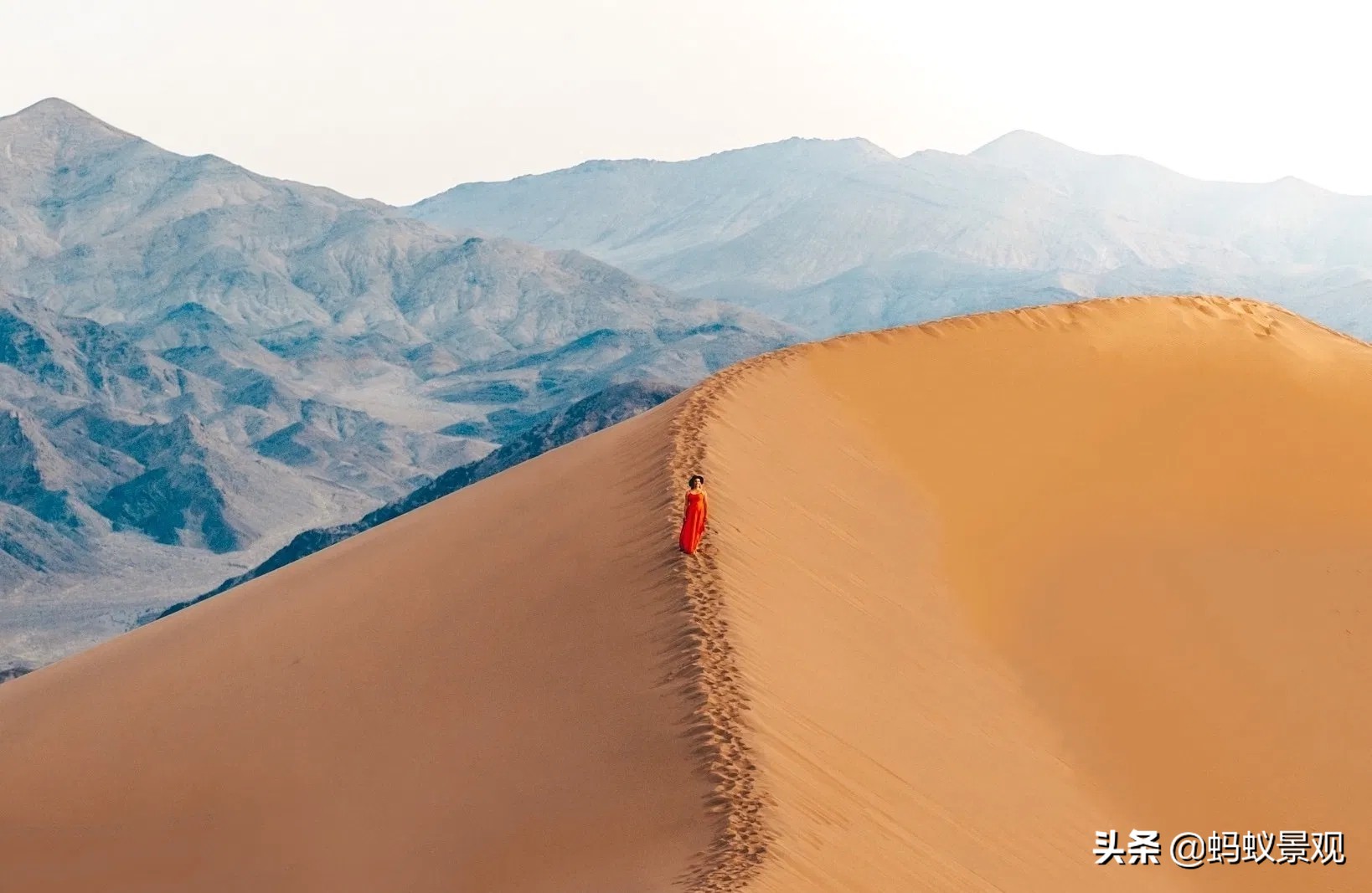 电影蒙太奇的理解,蒙太奇知识