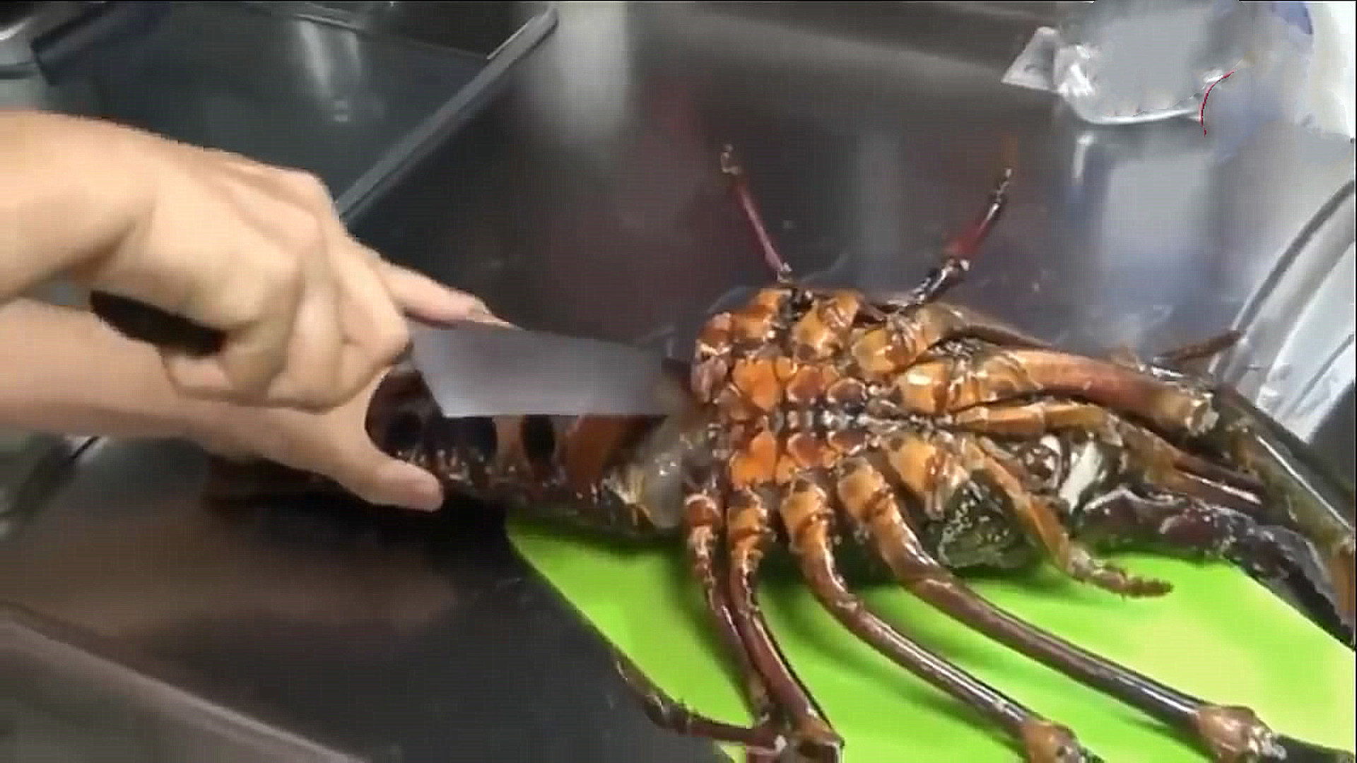 买一只大龙虾回来做麻辣大龙虾,500元买两只大龙虾做秘制小海鲜