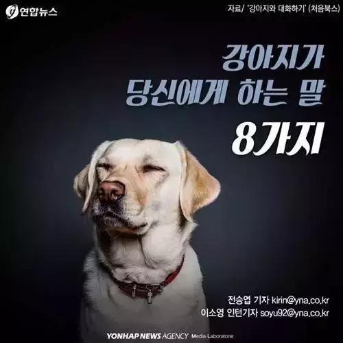 你是傻子吗用韩语怎么说,你用日语怎么说