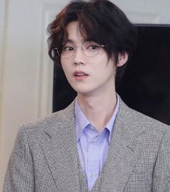 流量明星,实力明星鹿晗