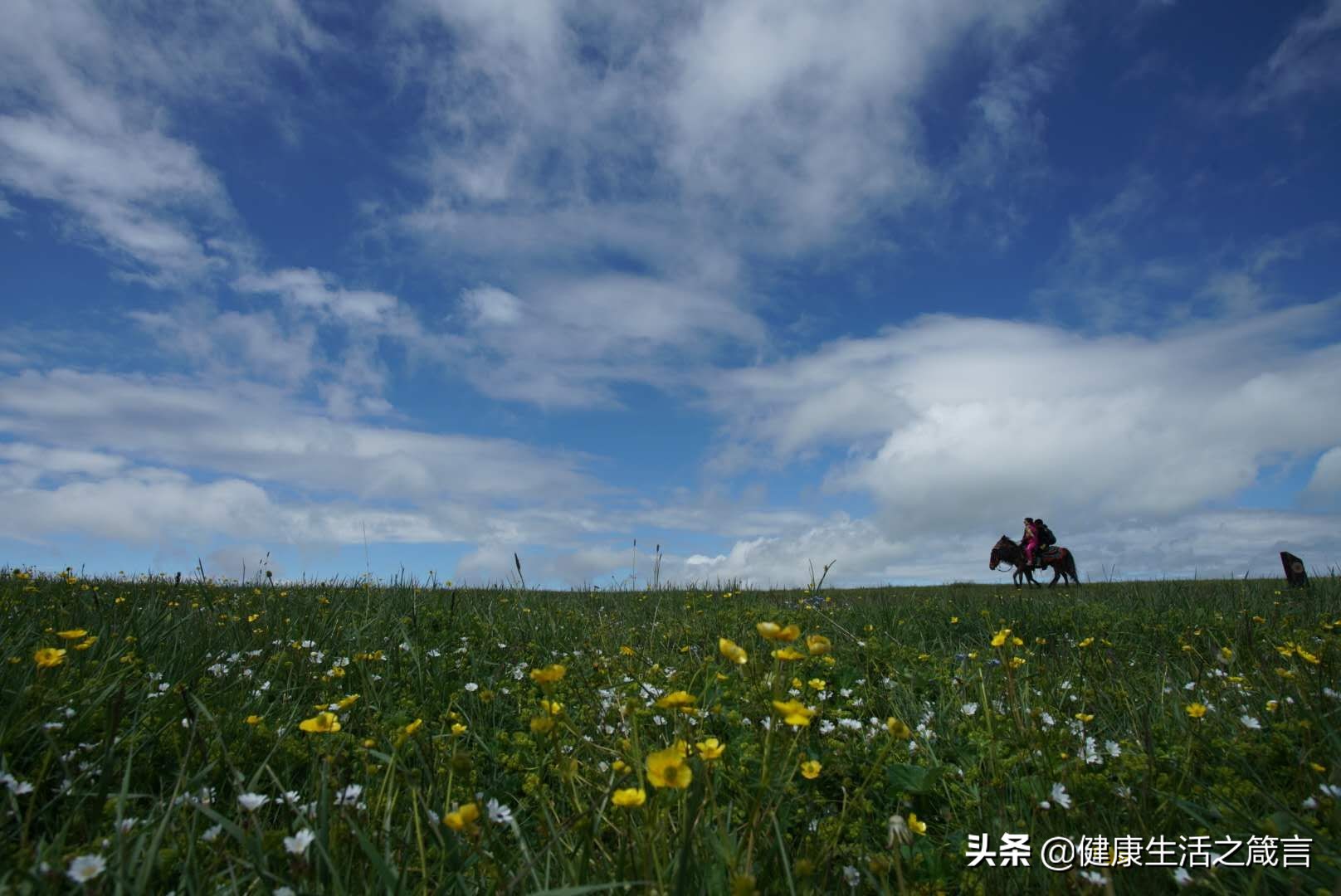 中医如何治疗小孩上火,为什么小孩子反反复复的上火