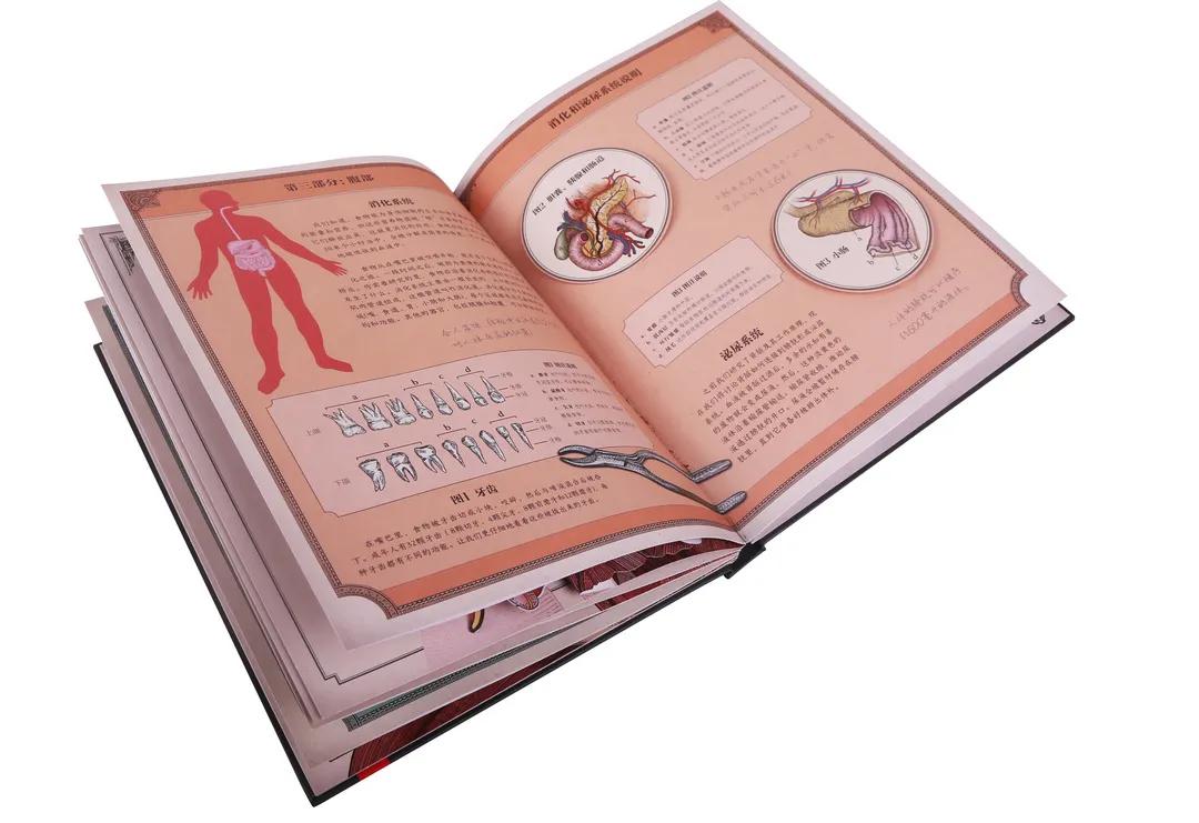 看病时不知道怎么说,看病是不是全部不舒服都要说