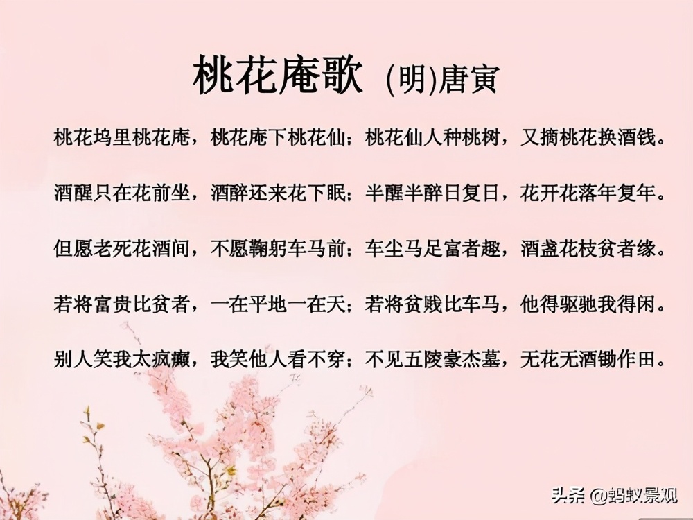 留园建筑布局照片,留园建筑景观内容