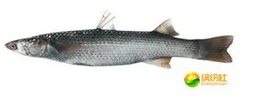 舟山海鲜攻略2天3晚吃什么,舟山海鲜代加工攻略