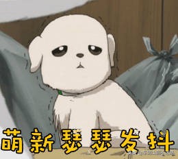 买车买贵好还是便宜好,新手买车要不要买贵的