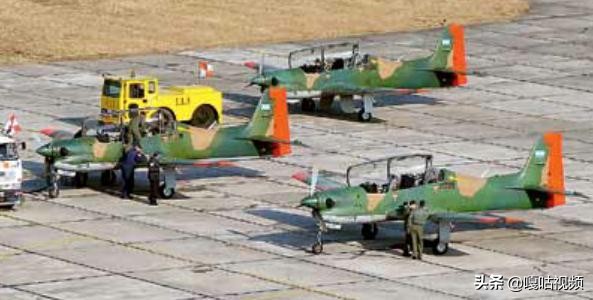 亚马逊巨嘴鸟,巨型巨嘴鸟