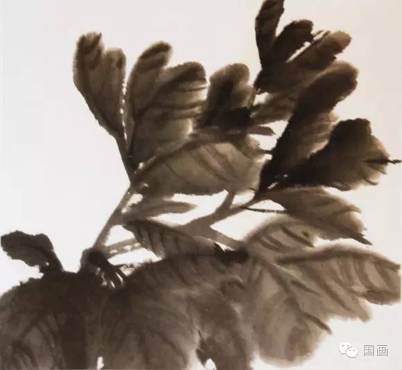 张克申写意牡丹画法教程,邵丹写意牡丹各阶段画法