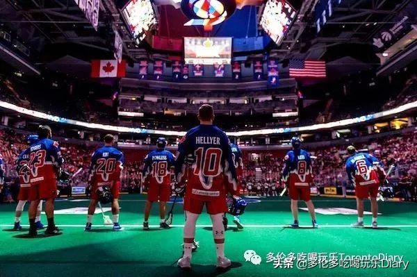 Presto、Costco…… 在多伦多生活,有这些卡就够了