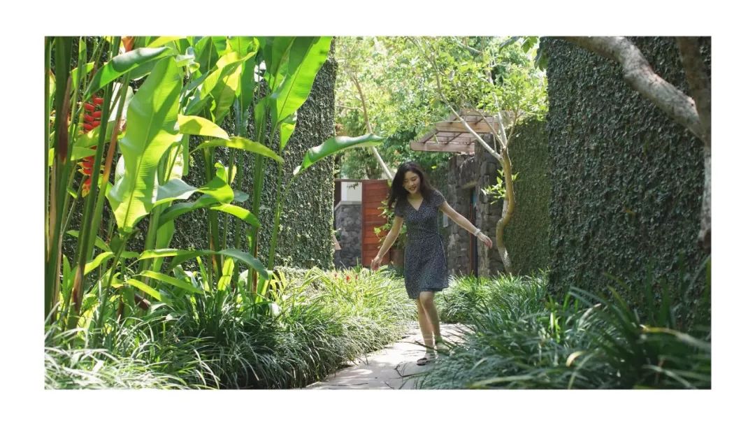 巴厘岛六日游详细攻略,巴厘岛攻略一日游最佳路线图