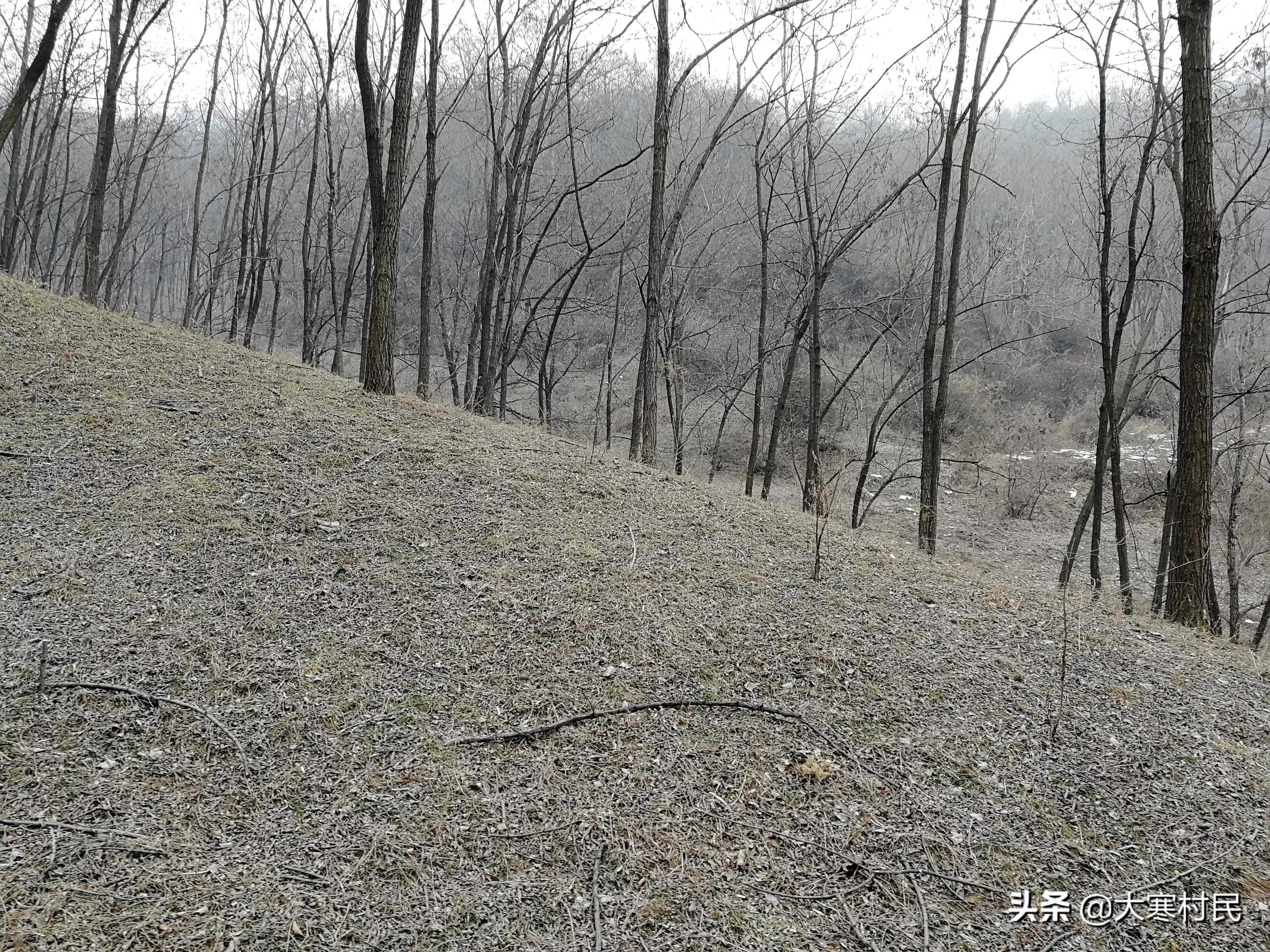 想象春天,想象中的春天