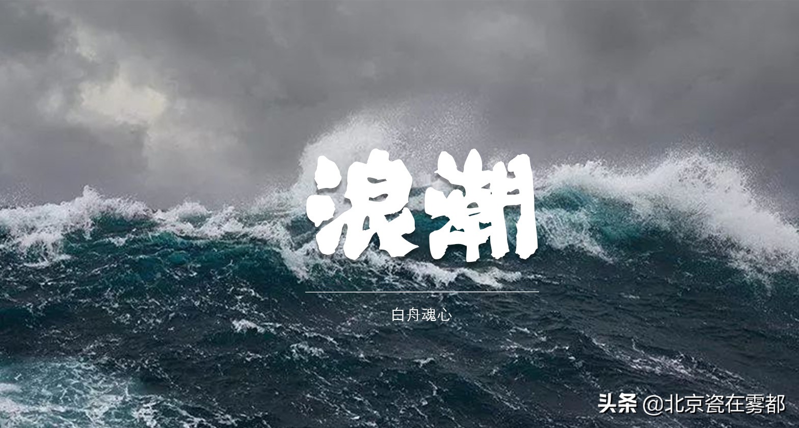 自媒体字体排行榜前十名,自媒体字体怎么写才好看