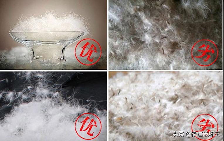 羽绒被消费陷阱？买之前一定擦亮眼睛