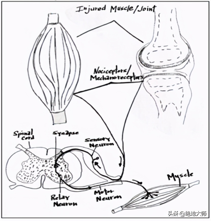 非创伤性膝关节疼痛的评估和神经调控康复治疗