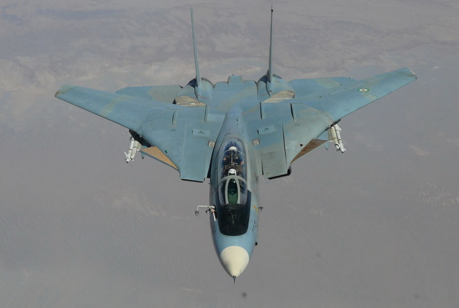 猫迷必备技能，F-14各型号的辨别