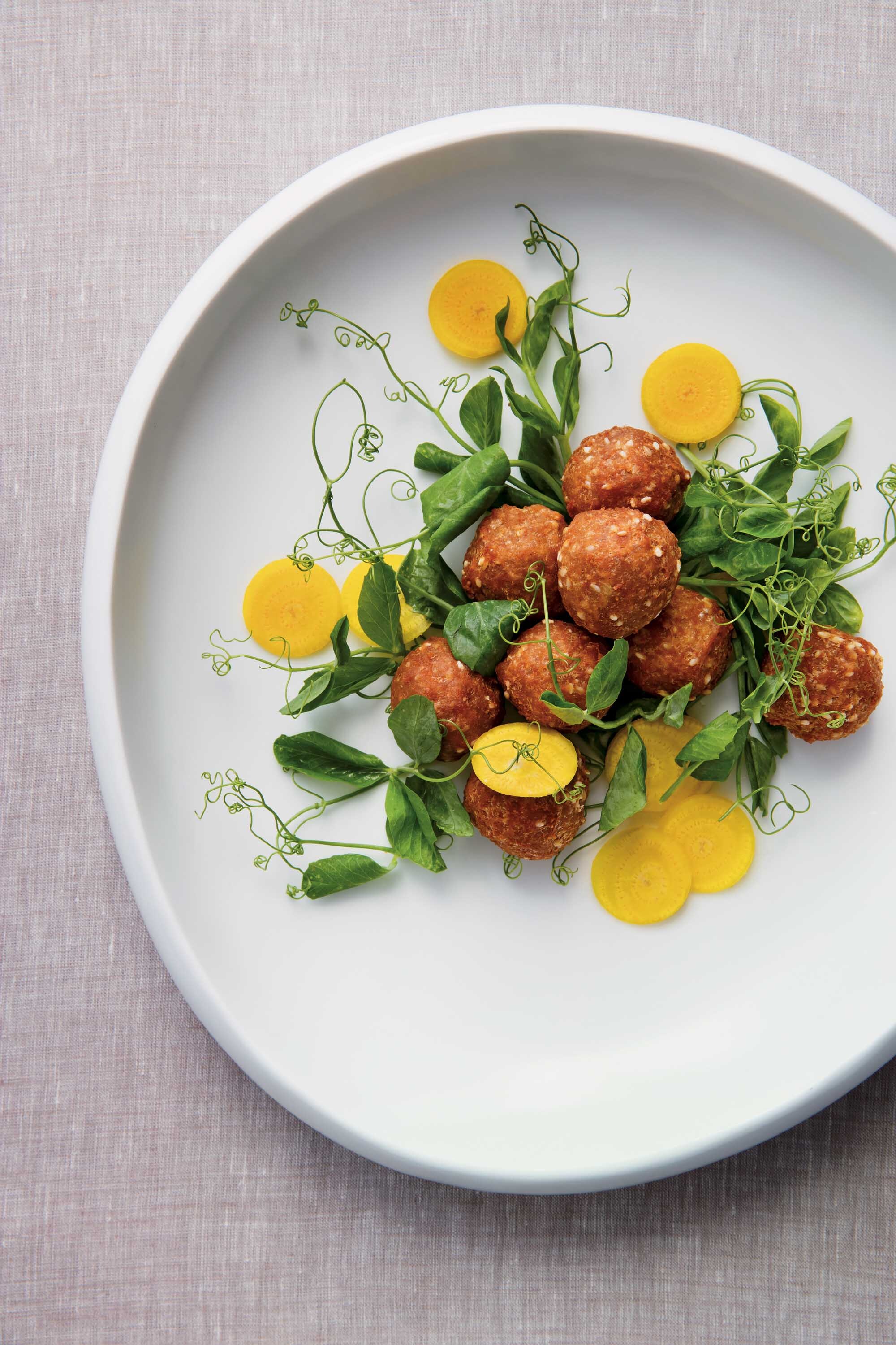 丸子君,丸子叨叨叨