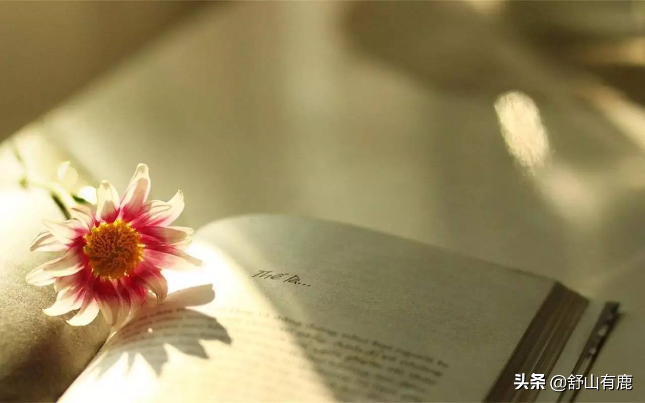 姥姥的点拨完整视频,姥姥的教诲