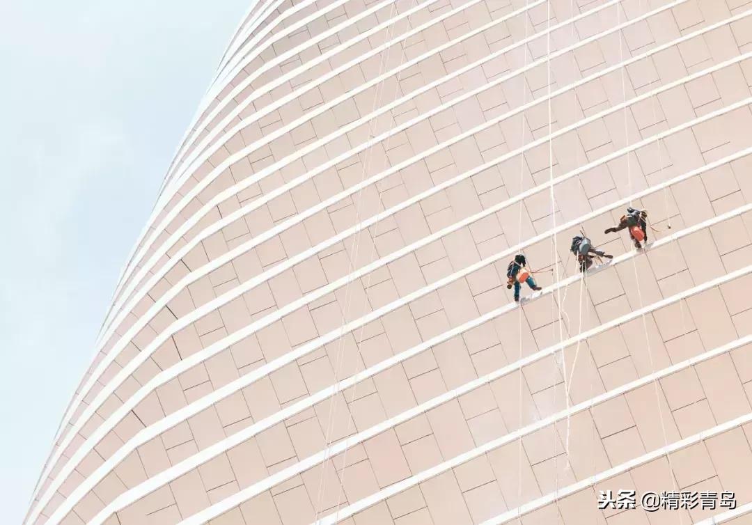 什么是麻雀定律,什么是应激反应表现有哪些