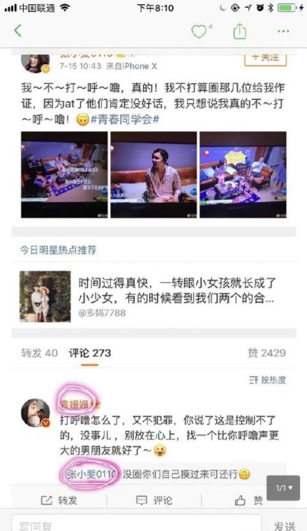 袁姗姗张家界莓茶,袁姗姗茶艺大师