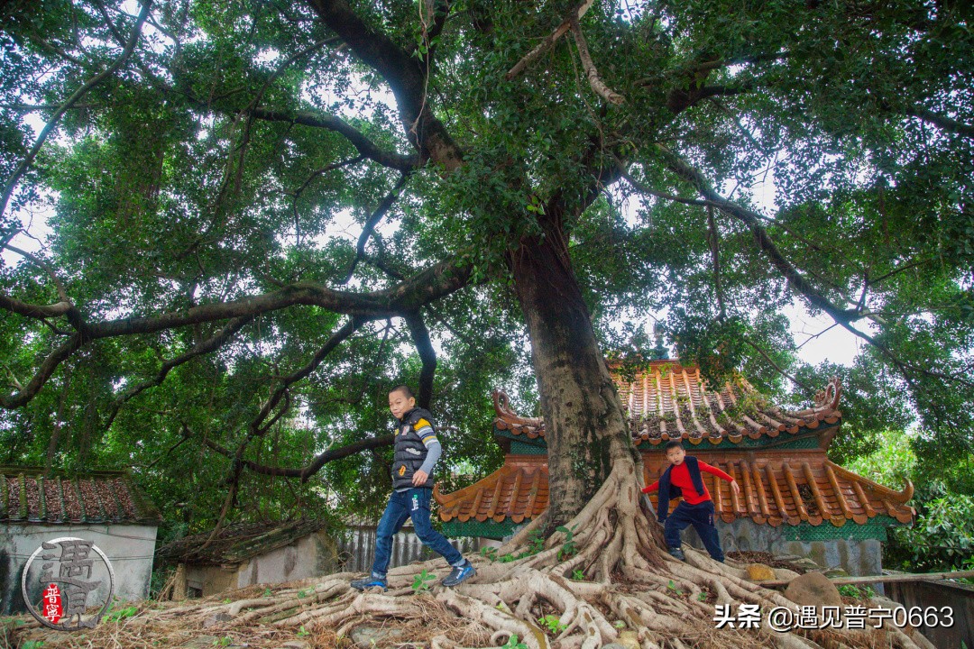 普宁童年记忆,遇见童年的记忆