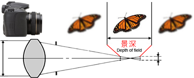 单反拍摄知识,单反镜头的术语大全