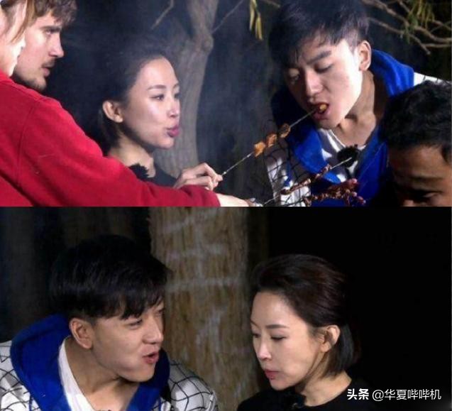 九球天后潘晓婷为何至今单身,九球潘晓婷的个人简历