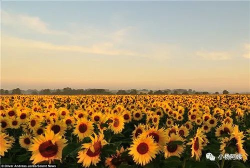 自媒体个人号怎么吸引粉丝,个人公众号前期怎么吸粉