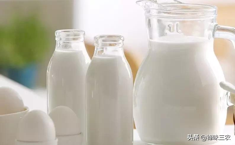 探秘山东最大羊奶厂！羊奶到底有没有膻味？