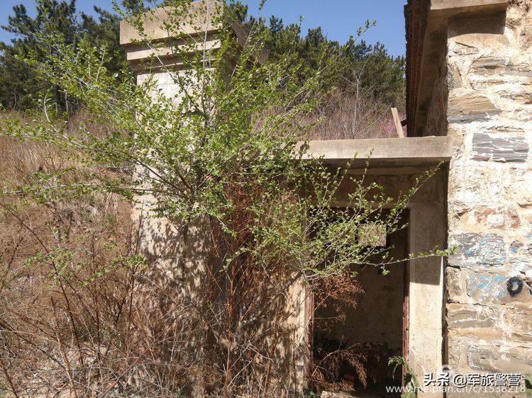 时隔多年老连长带老兵回归军营,三位老战友回忆当年军旅