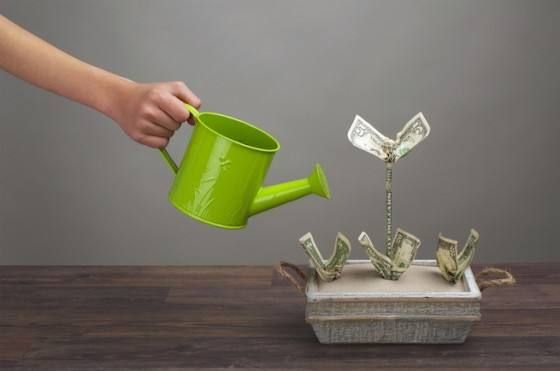 国外油脂期货实时行情,玉米油脂期货行情分析