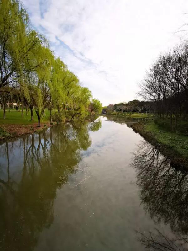 2022年世界手机摄影大赛征稿,手拍世界摄影网