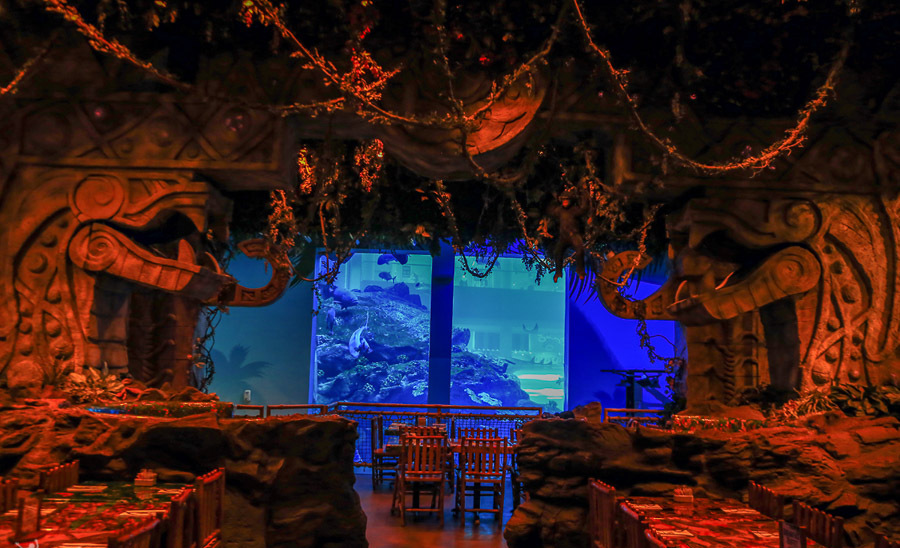 迪拜喷泉旅游攻略,迪拜水族馆游玩攻略