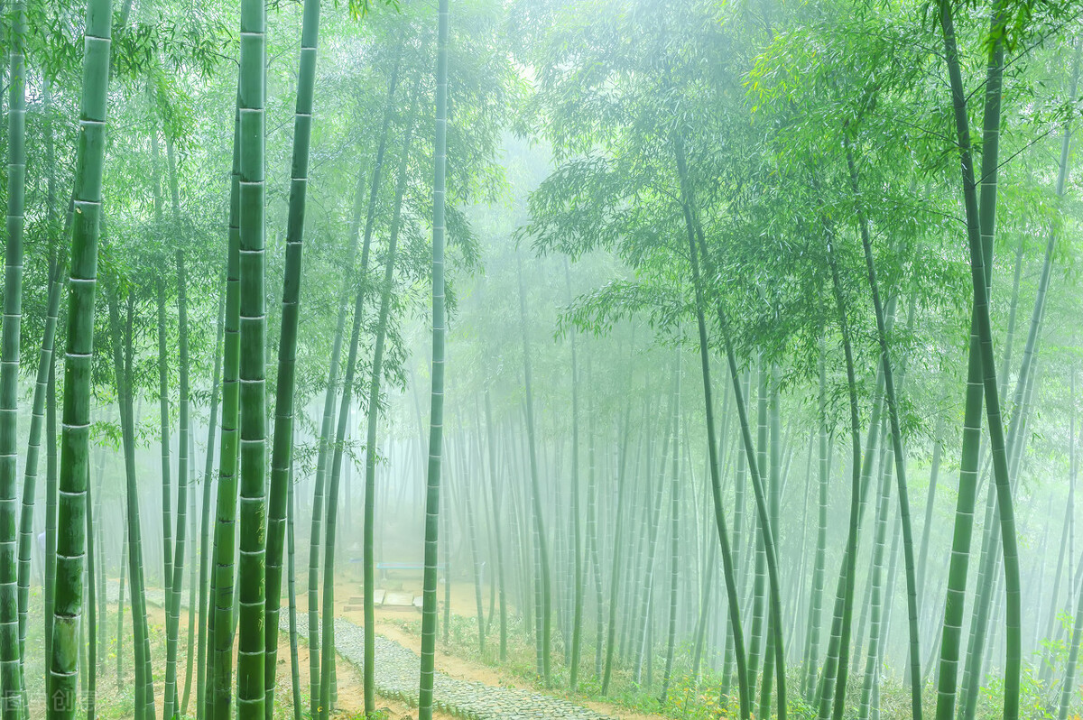 唐代诗人杜甫风格特点,杜甫每首诗表达的情感特点