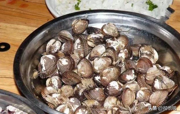 江阳区好玩的地方景点,泸州江阳区好玩景点排名