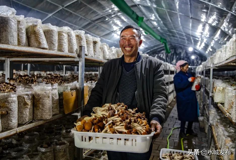 水城县特色产业,全域水城美丽乡村建设